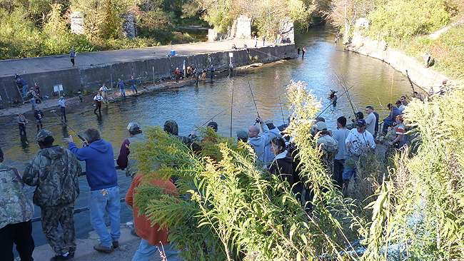 The Dam Crowd1.JPG